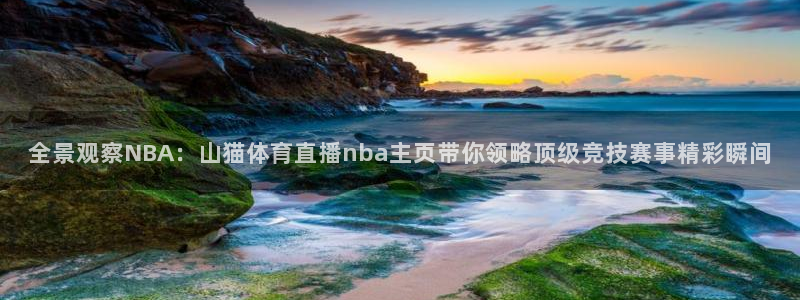 永利股份：全景观察NBA：山猫体育直播nba主页带你领略顶级竞技赛事精彩瞬间
