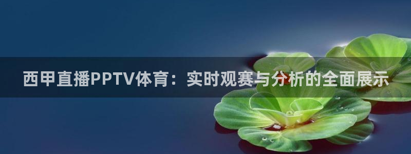 澳门永利老板简介：西甲直播PPTV体育：实时观赛与分析的全面展示
