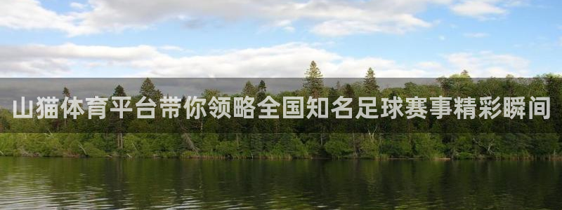 永利贵宾会：山猫体育平台带你领略全国知名足球赛事精彩瞬间