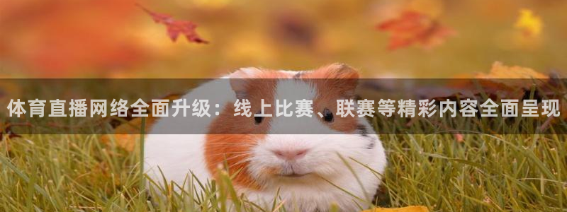 永利娱城：体育直播网络全面升级：线上比赛、联赛等精彩内容全面呈现